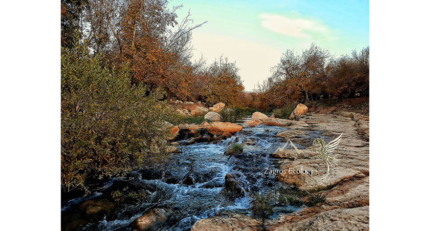 مشتێگ و قولە مشتێگ
