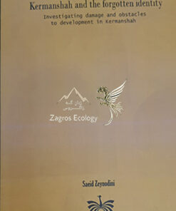 "ولی کَه" کرمانشاه و هویت فراموش شده (بررسی آسیب‌ها و موانع توسعه)