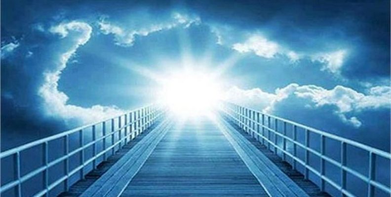 Die Kätze hat es geahnt, Gedicht von Joachim Homann aus der Gedichtsammlung im Pfauengarten